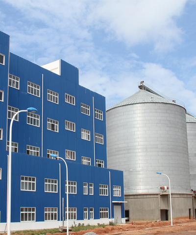 300 t/d of corn flour milling project in Angola