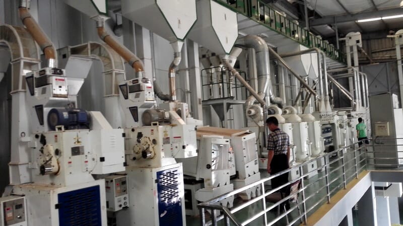 Rice processing equipment put into use