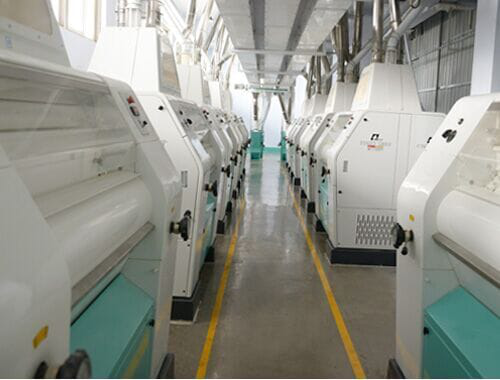 100-200tpd Maize flour milling plant machine